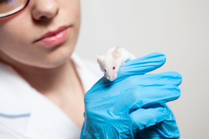 CEO Nählstedt said cosmetics is a very important industry for SenzaGen as "there is still unnecessary animal testing going on" in many markets (Image: Getty)