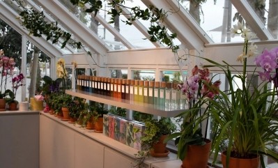 Loewe greenhouse popup