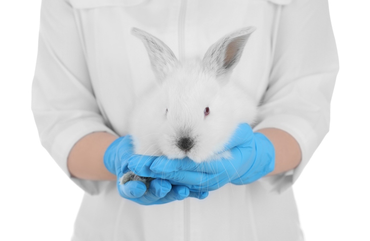 10 Animals Used In Animal Testing » VeganBlackBox
